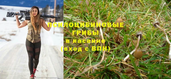 винт Армянск