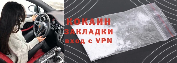индика Аркадак
