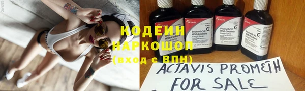 индика Аркадак