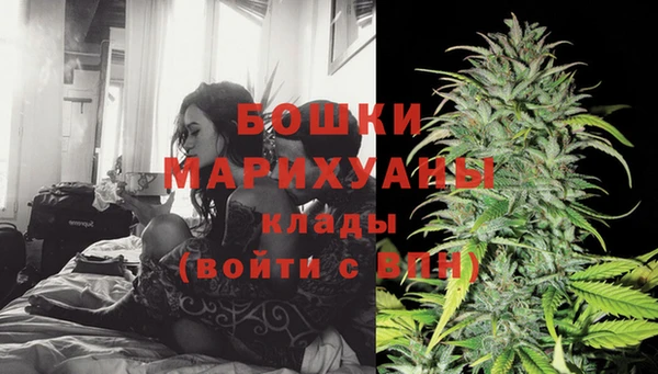 индика Аркадак