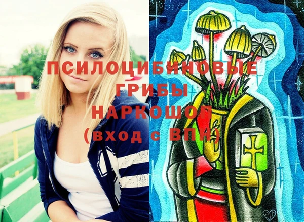винт Армянск