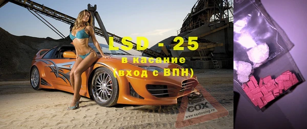индика Аркадак