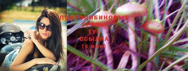 винт Армянск