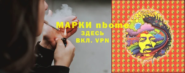 индика Аркадак