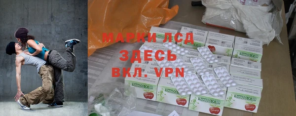 индика Аркадак