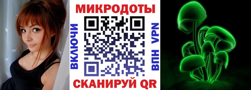 Псилоцибиновые грибы Psilocybine cubensis  Лихославль 
